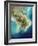 Mississippi Delta, Satellite Image-PLANETOBSERVER-Framed Photographic Print