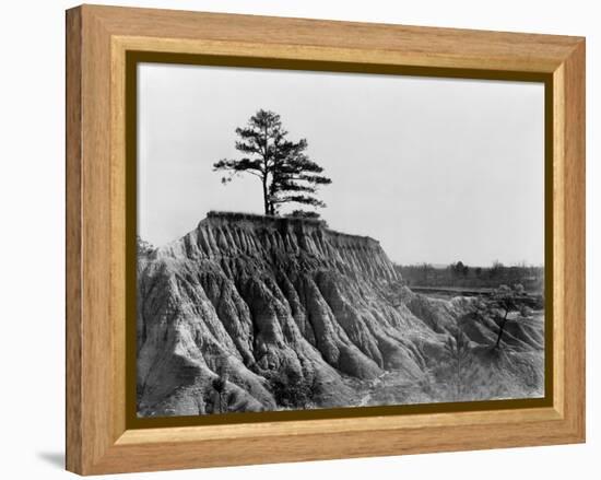 Mississippi: Erosion, 1936-Walker Evans-Framed Premier Image Canvas