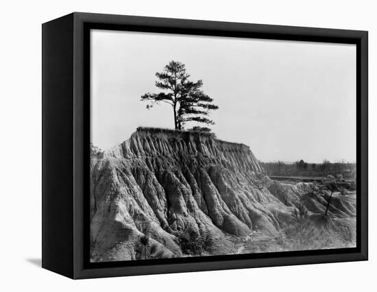 Mississippi: Erosion, 1936-Walker Evans-Framed Premier Image Canvas