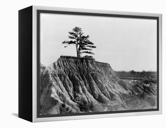 Mississippi: Erosion, 1936-Walker Evans-Framed Premier Image Canvas