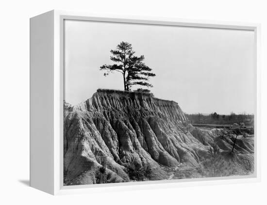 Mississippi: Erosion, 1936-Walker Evans-Framed Premier Image Canvas