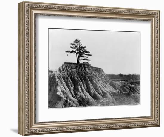 Mississippi: Erosion, 1936-Walker Evans-Framed Photographic Print