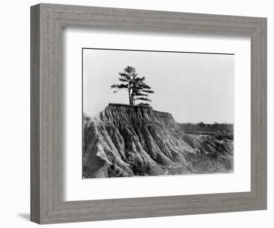 Mississippi: Erosion, 1936-Walker Evans-Framed Photographic Print