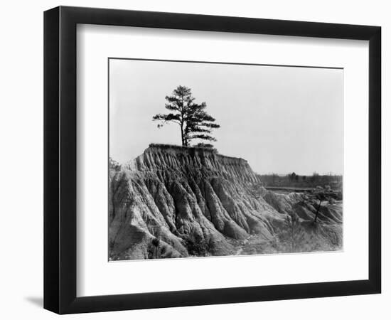 Mississippi: Erosion, 1936-Walker Evans-Framed Photographic Print