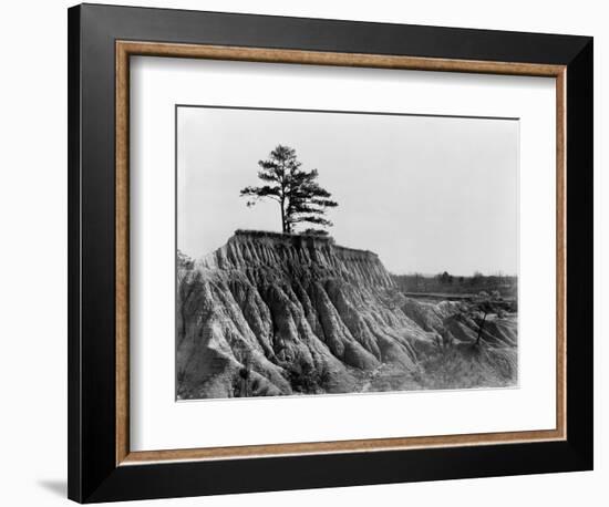 Mississippi: Erosion, 1936-Walker Evans-Framed Photographic Print