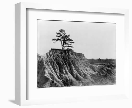 Mississippi: Erosion, 1936-Walker Evans-Framed Photographic Print