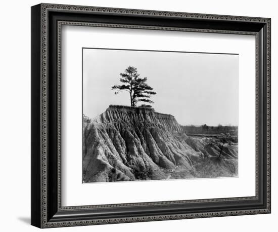 Mississippi: Erosion, 1936-Walker Evans-Framed Photographic Print