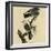 Mississippi Kite-null-Framed Giclee Print