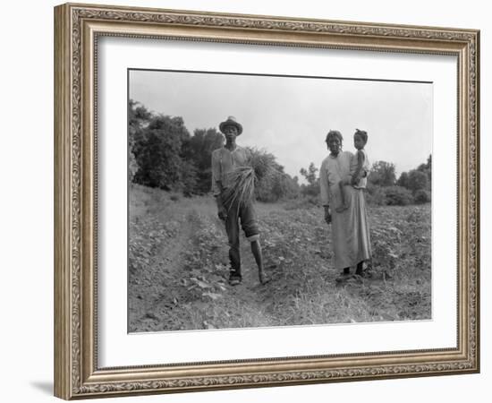 Mississippi person family who live on a cotton patch near Vicksburg, 1936-Dorothea Lange-Framed Photographic Print