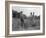 Mississippi person family who live on a cotton patch near Vicksburg, 1936-Dorothea Lange-Framed Photographic Print