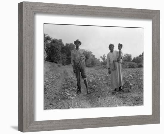 Mississippi person family who live on a cotton patch near Vicksburg, 1936-Dorothea Lange-Framed Photographic Print