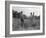 Mississippi person family who live on a cotton patch near Vicksburg, 1936-Dorothea Lange-Framed Photographic Print