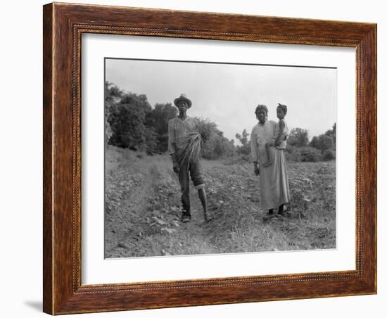 Mississippi person family who live on a cotton patch near Vicksburg, 1936-Dorothea Lange-Framed Photographic Print