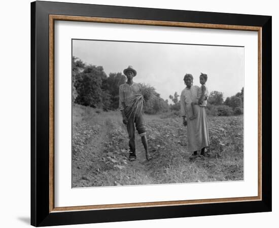 Mississippi person family who live on a cotton patch near Vicksburg, 1936-Dorothea Lange-Framed Photographic Print