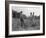 Mississippi person family who live on a cotton patch near Vicksburg, 1936-Dorothea Lange-Framed Photographic Print