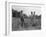 Mississippi person family who live on a cotton patch near Vicksburg, 1936-Dorothea Lange-Framed Photographic Print