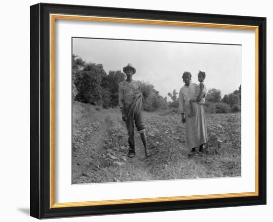 Mississippi person family who live on a cotton patch near Vicksburg, 1936-Dorothea Lange-Framed Photographic Print