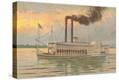 Stretched Canvas Print