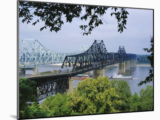 Mississippi River, Vicksburg, Mississippi, USA-Tony Waltham-Mounted Photographic Print