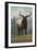 Missoula, Montana - Elk Scene-Lantern Press-Framed Art Print