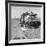 Missouri family after the drought near Tracy, California, 1937-Dorothea Lange-Framed Photographic Print