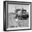 Missouri family after the drought near Tracy, California, 1937-Dorothea Lange-Framed Photographic Print