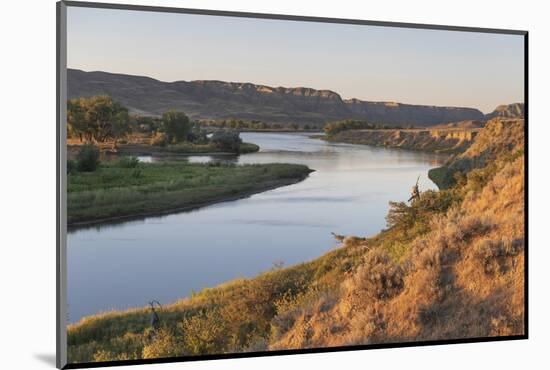 Missouri River near Judith Landing, Upper Missouri River Breaks National Monument, Montana.-Alan Majchrowicz-Mounted Photographic Print