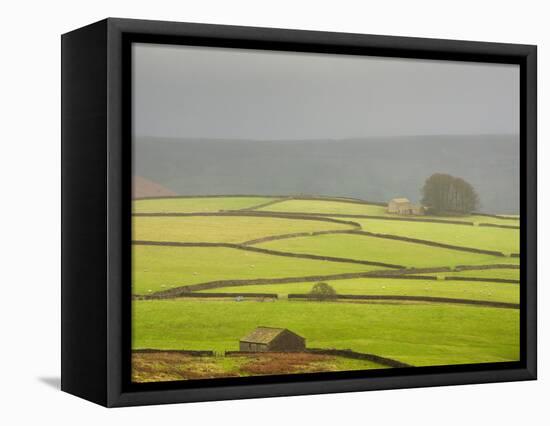 Mist Above Bolton Abbey, Yorkshire Dales, Yorkshire, England, United Kingdom, Europe-Bill Ward-Framed Premier Image Canvas