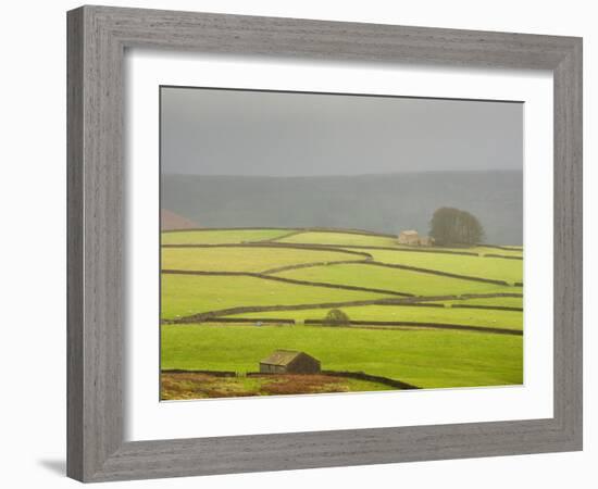 Mist Above Bolton Abbey, Yorkshire Dales, Yorkshire, England, United Kingdom, Europe-Bill Ward-Framed Photographic Print