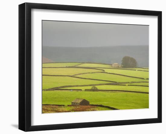 Mist Above Bolton Abbey, Yorkshire Dales, Yorkshire, England, United Kingdom, Europe-Bill Ward-Framed Photographic Print