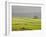 Mist Above Bolton Abbey, Yorkshire Dales, Yorkshire, England, United Kingdom, Europe-Bill Ward-Framed Photographic Print
