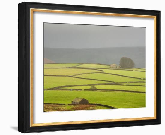 Mist Above Bolton Abbey, Yorkshire Dales, Yorkshire, England, United Kingdom, Europe-Bill Ward-Framed Photographic Print