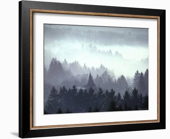 Mist and Fog Shrouded Countryside of the Northern Ardennes Forest, During the Battle of the Bulge-George Silk-Framed Photographic Print