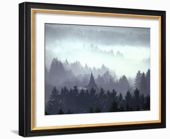 Mist and Fog Shrouded Countryside of the Northern Ardennes Forest, During the Battle of the Bulge-George Silk-Framed Photographic Print