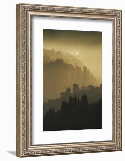 Mist and low sunlight over Dunedin Botanic Garden and Leith Valley, Dunedin, Otago-David Wall-Framed Photographic Print