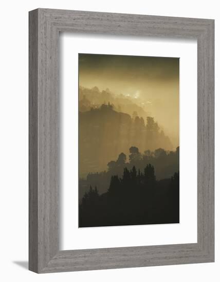 Mist and low sunlight over Dunedin Botanic Garden and Leith Valley, Dunedin, Otago-David Wall-Framed Photographic Print