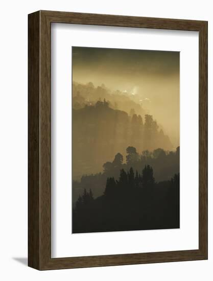Mist and low sunlight over Dunedin Botanic Garden and Leith Valley, Dunedin, Otago-David Wall-Framed Photographic Print