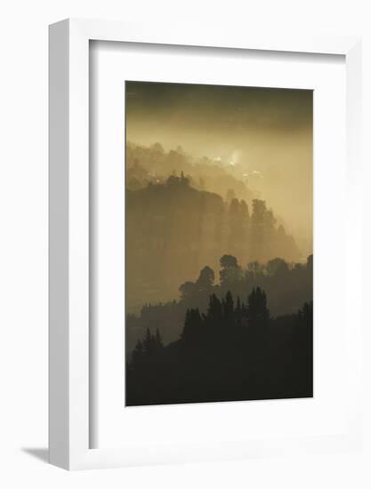 Mist and low sunlight over Dunedin Botanic Garden and Leith Valley, Dunedin, Otago-David Wall-Framed Photographic Print