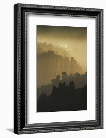 Mist and low sunlight over Dunedin Botanic Garden and Leith Valley, Dunedin, Otago-David Wall-Framed Photographic Print