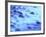 Mist at Shore of Mount Desert Island-Owaki - Kulla-Framed Photographic Print