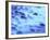 Mist at Shore of Mount Desert Island-Owaki - Kulla-Framed Photographic Print