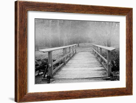 Mist Bridge-null-Framed Art Print