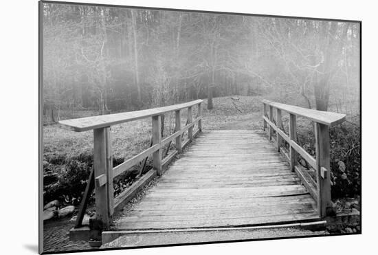 Mist Bridge-null-Mounted Art Print