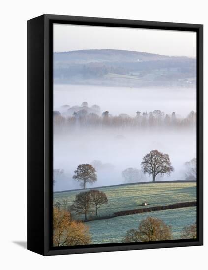 Mist Covered Countryside in the Exe Valley Just North of Exeter, Devon, England. Winter-Adam Burton-Framed Premier Image Canvas