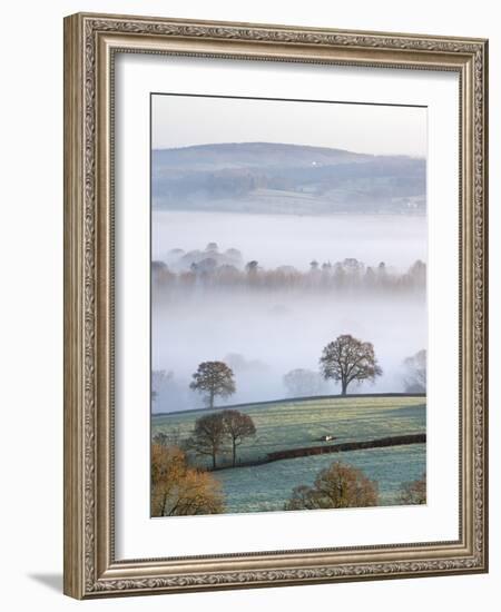 Mist Covered Countryside in the Exe Valley Just North of Exeter, Devon, England. Winter-Adam Burton-Framed Photographic Print