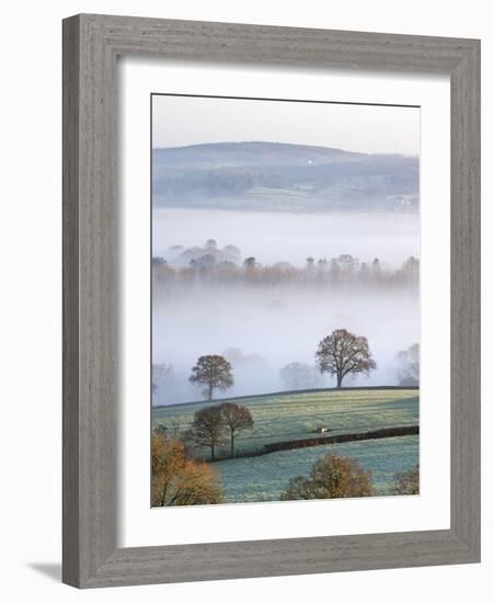 Mist Covered Countryside in the Exe Valley Just North of Exeter, Devon, England. Winter-Adam Burton-Framed Photographic Print