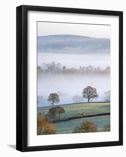 Mist Covered Countryside in the Exe Valley Just North of Exeter, Devon, England. Winter-Adam Burton-Framed Photographic Print