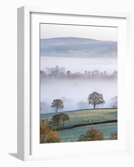 Mist Covered Countryside in the Exe Valley Just North of Exeter, Devon, England. Winter-Adam Burton-Framed Photographic Print
