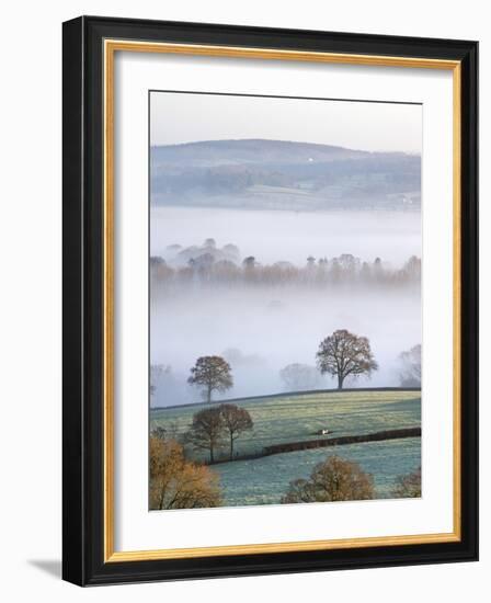 Mist Covered Countryside in the Exe Valley Just North of Exeter, Devon, England. Winter-Adam Burton-Framed Photographic Print