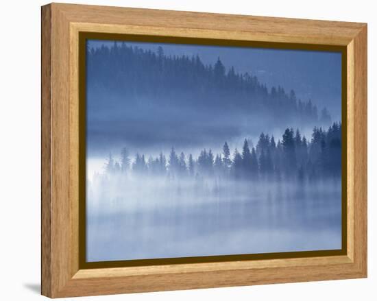 Mist Hiding Trees Above the Little Spokane River Valley-Bob Rowan-Framed Premier Image Canvas